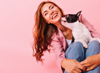 死ぬまで犬と暮らしたい。わたしが犬達からもらったモノ。