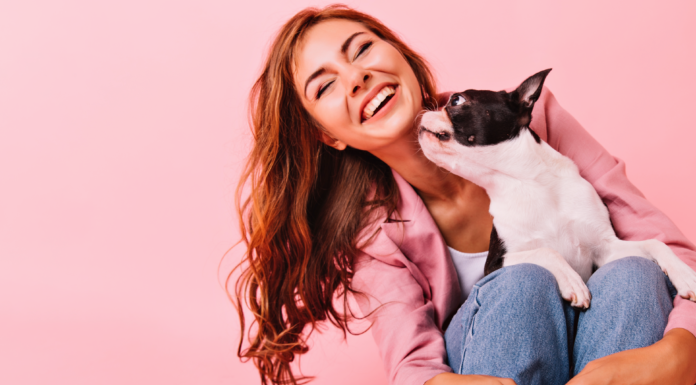 死ぬまで犬と暮らしたい。わたしが犬達からもらったモノ。