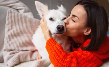 犬好きさんあるある!愛犬家度チェック! 犬,愛犬,愛犬家