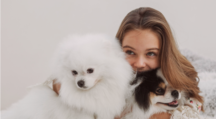 多頭飼いのメリット、デメリット-犬に囲まれて暮らしたい! 犬,多頭飼い