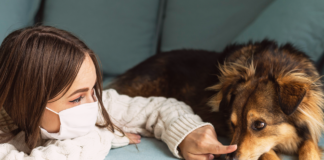 コロナ禍と愛すべき犬たち コロナ犬