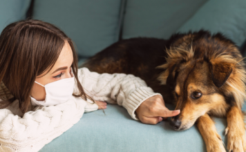 コロナ禍と愛すべき犬たち コロナ犬