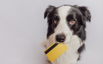 我が子と考える、犬の『値段』。 犬,値段,価格,