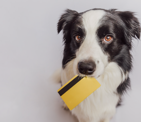 我が子と考える、犬の『値段』。 犬,値段,価格,