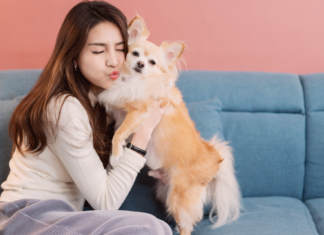 第二の人生!犬を飼って変わったこと。 犬まとめ.com,犬との暮らし