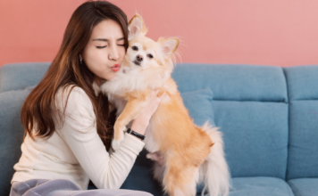 第二の人生!犬を飼って変わったこと。 犬まとめ.com,犬との暮らし