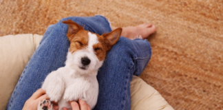 不思議可愛い!うちの愛犬マイルール 犬まとめ,マイルール,クセ