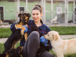 保護犬団体ってどんなところ? 犬まとめ,犬,保護犬団体,里親