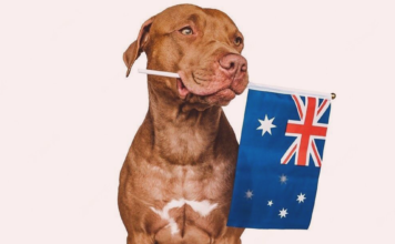 見習いたい!動物愛護先進国~オーストラリア編~ 犬まとめ,オーストラリア,動物愛護先進国