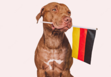 犬まとめ,ドイツ,動物愛護先進国
