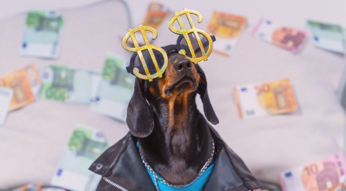 大公開!大型犬&中型犬の養育費 犬まとめ,犬,かかるお金,養育費,