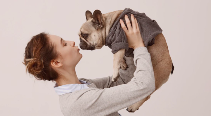 愛犬に服を着せるということ