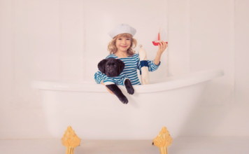 犬と船旅レポート♪〜前編〜 犬まとめ,船,犬と旅行