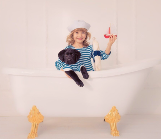 犬と船旅レポート♪〜前編〜 犬まとめ,船,犬と旅行