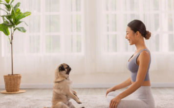 アニマルコミュニケーション体験談 犬まとめ,犬,アニマルコミニュケーション