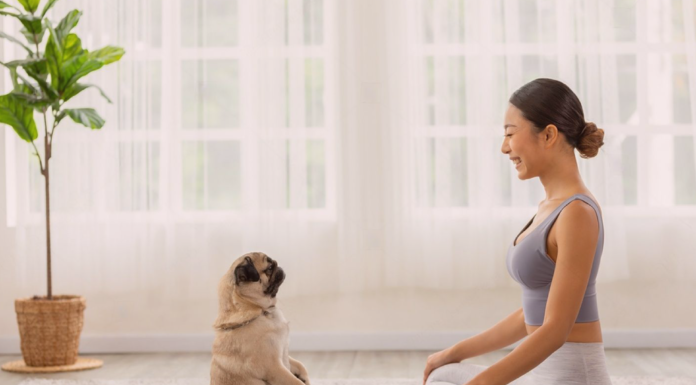 アニマルコミュニケーション体験談 犬まとめ,犬,アニマルコミニュケーション