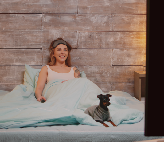 オススメ犬映画-芽萌編- 犬まとめ,犬,映画,オススメ