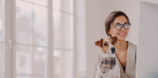 犬系の資格〜芽萌編〜 犬まとめ,犬,資格,犬の資格