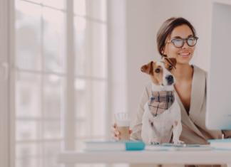 犬系の資格〜芽萌編〜 犬まとめ,犬,資格,犬の資格