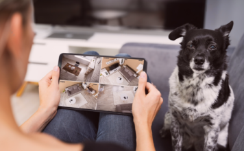 愛犬がお留守番!ペットカメラある? 犬まとめ,犬,ペットカメラ,お留守番