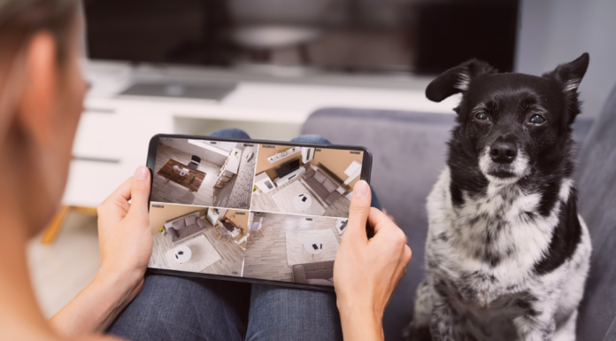 愛犬がお留守番!ペットカメラある? 犬まとめ,犬,ペットカメラ,お留守番