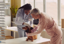 愛犬の動物病院で検査って大事。① 犬まとめ,犬,検査,精密検査,動物病院