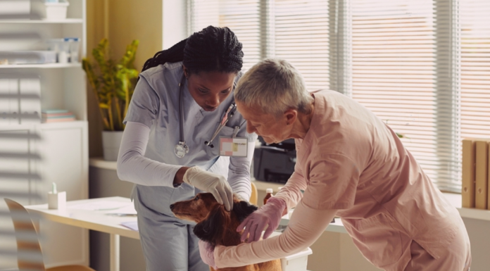 愛犬の動物病院で検査って大事。① 犬まとめ,犬,検査,精密検査,動物病院
