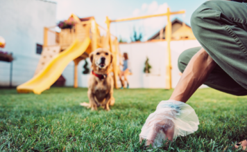 アナタだけじゃない!食糞しちゃう我が愛犬たち 犬まとめ,犬,食糞,うんち