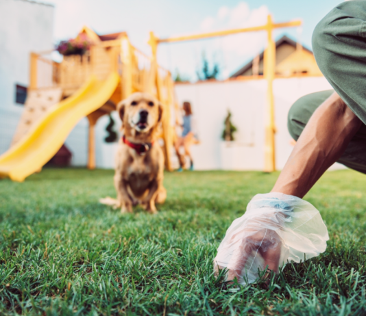 アナタだけじゃない!食糞しちゃう我が愛犬たち 犬まとめ,犬,食糞,うんち