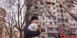 犬のためにできる防災ってなんだろう? 犬まとめ,犬,災害,防災,避難所