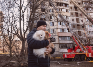犬のためにできる防災ってなんだろう? 犬まとめ,犬,災害,防災,避難所