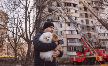 犬のためにできる防災ってなんだろう? 犬まとめ,犬,災害,防災,避難所