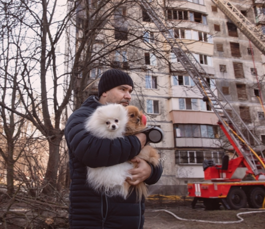 犬のためにできる防災ってなんだろう? 犬まとめ,犬,災害,防災,避難所