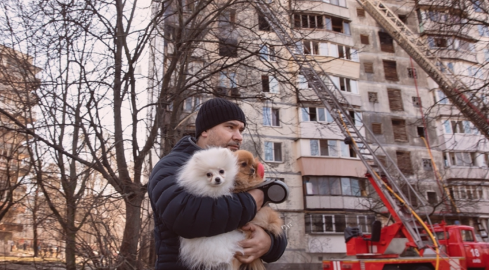 犬のためにできる防災ってなんだろう? 犬まとめ,犬,災害,防災,避難所